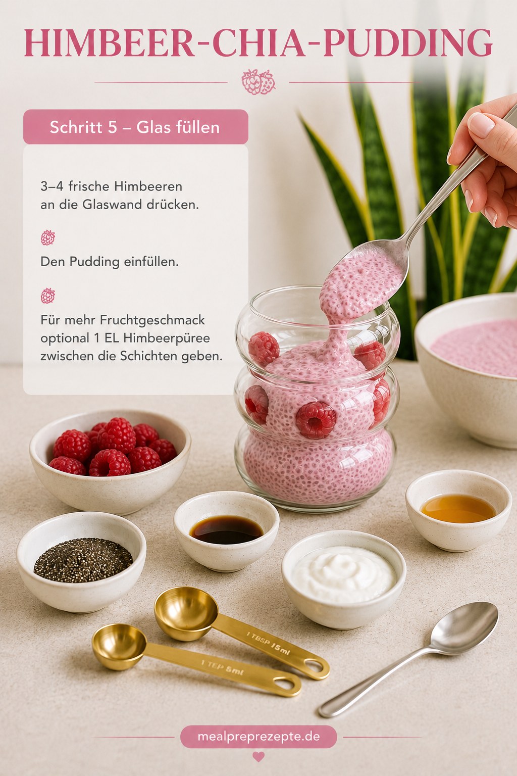 Frische Himbeeren werden an die Glaswand gedrückt, bevor der Chiapudding eingefüllt wird